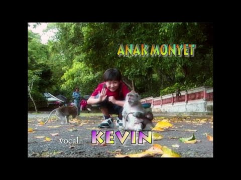 Anak Monyet (HQ) - Kevin Susanto