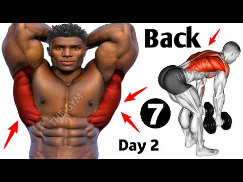 7 Big Back Exercises - Day 2 Back Workout - THE GYM