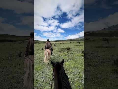 The Perfect Way to View an Active Volcano! #travel #cotopaxi #ecuador #horseback
