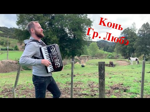 Конь - Любэ. Душевно исполнил в Новой Зеландии!!!
