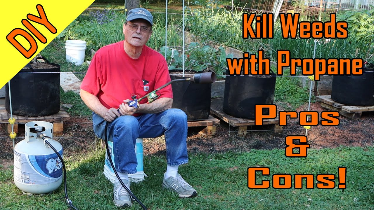 Chemical FREE Weeding with Propane, Pros and Cons!