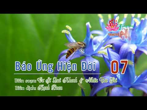 Báo Ứng Hiện Đời Tập II - 3