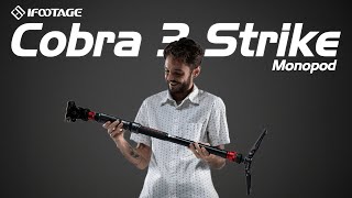 This Monopod is QUICK - The iFootage Cobra 3 Strike