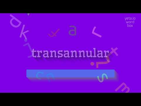 How to say "transannular"! (High Quality Voices)