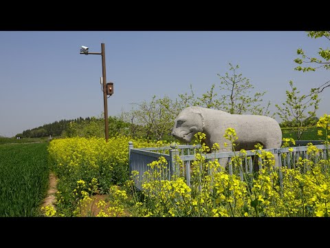 Mausoléu de Xianling da Dinastia Tang, Tumba do Imperador Gaozu da Dinastia Tang
