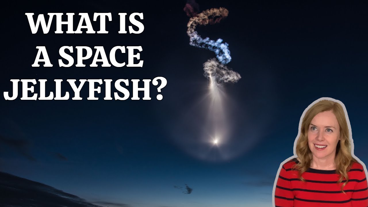 What is a Space Jellyfish?