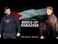 Firas X Muad - Birds Of Paradise (Vocals Only)