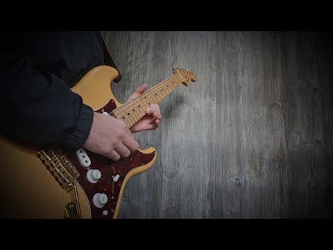 The Night Watch - Robert Fripp Solo