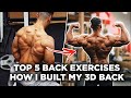 HOW I BUILT MY 3D BACK! - 5 Best Back Exercises!