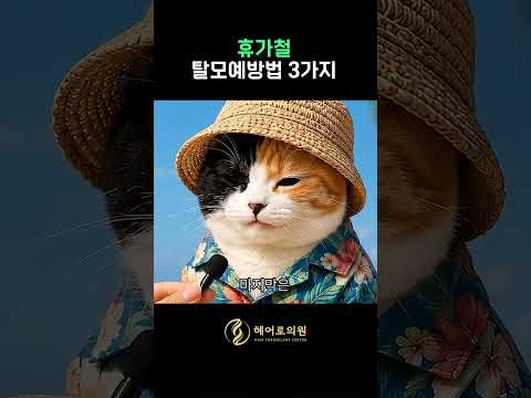 여름 휴가 바다 가서 머리 빠지기 싫다면? 꼭 확인하세요!