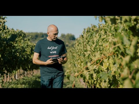 Vinakoper predstavlja... Boštjan Zidar, glavni enolog kleti Vinakoper