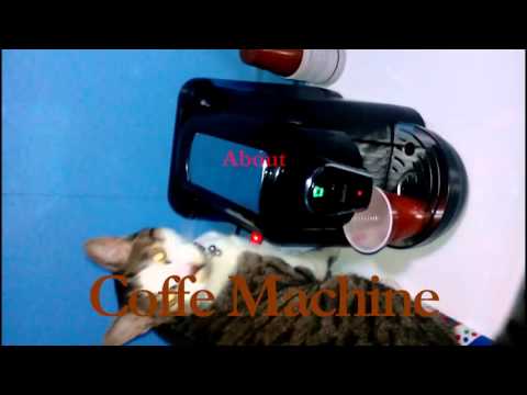 What CATS Think about coffee machine? OMG