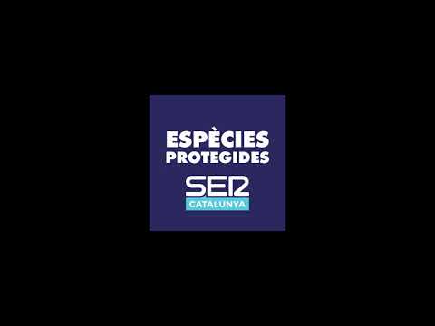 Entrevista a JORDI MILÁN al programa ESPECIES PROTEGIDES a SER Catalunya - 01/01/2021
