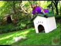 Chuck E Cheese S Television Commercial 2009 Racing