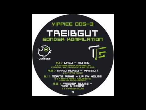 Moritz Piske - Up My House - TG SOKO - YIPPIEE 005