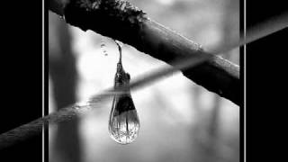 fernando delgadillo llovizna