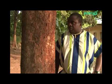 Agony Of A Princess - Nigerian Movie [Clip 1/3] Chioma Chukwuka