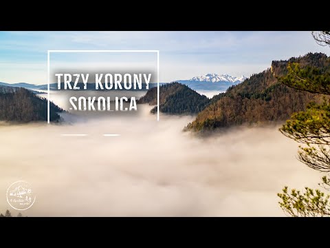 Sokolica i Trzy Korony - pętla z Krościenka nad Dunajcem - Pieniny [07.04.2024]