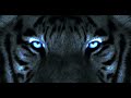10 Hours Of Epic Powerful Cinematic Music Art And Music 909