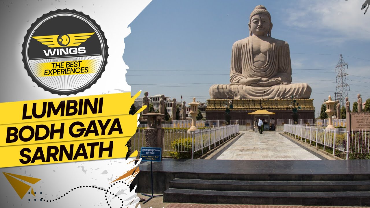 Exploring Buddha’s Path: A Global Journey | WION Wings EP109