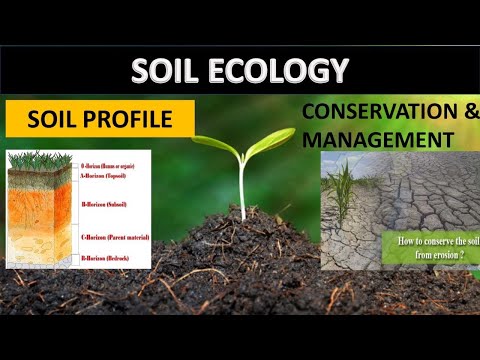 Soil Ecology | Conservation and Management Part 1| by Gufrana Asmat
