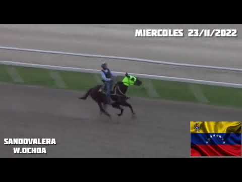 SANDOVALERA - Galope Largo - Copa Confraternidad 2022