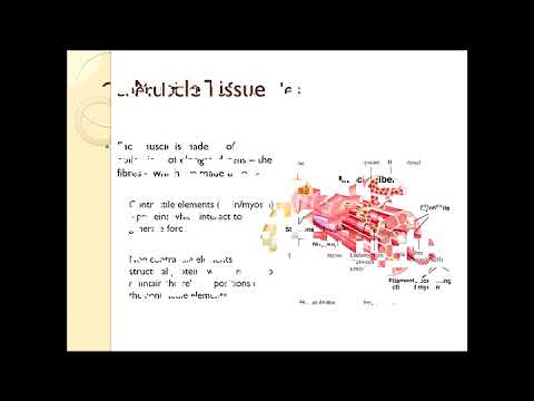 Introduction to Myology   part 1