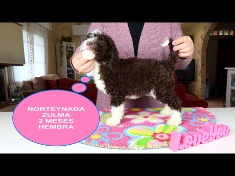 NORTEYNADA ZULMA 2 MESES RESERVADA