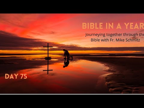 Day 75: Bible in a year - The Keeping of Vows