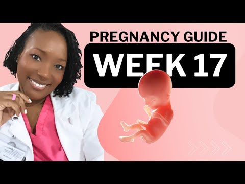 17 Weeks Pregnant: What To Expect