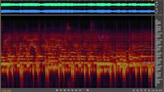 White Noise ~ Bipolar ~ 2 ~ Razor