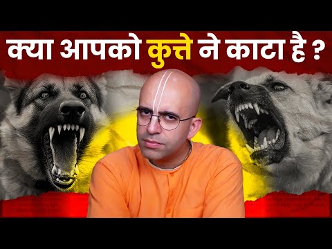 Stray Dogs Issue in Delhi || HG Amog Lila Prabhu