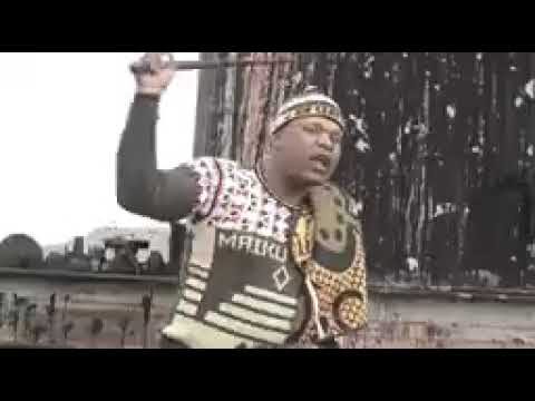 Peipi vol 2(Commander ea masole)