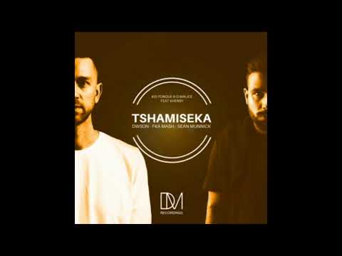 Kid Fonque & D-Malice feat. Khensy - Tshamiseka (Dwson Remix) (2018)