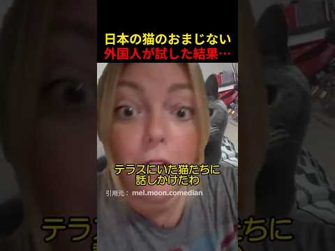 日本の猫のおまじない外国人が試した結果…
