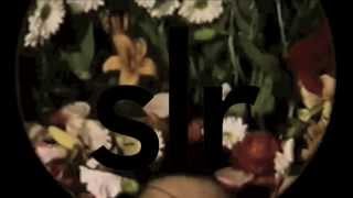 Devon Williams - Gilding The Lily  [OFFICIAL ALBUM TRAILER]