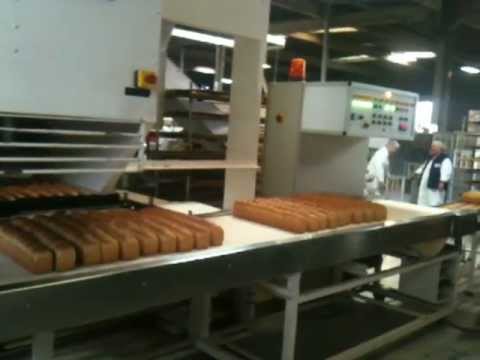 Visite de l'entreprise "Les Biscottes Roger" - Rallye de l'Industrie - 1