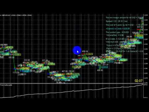 Video Forex trading guide