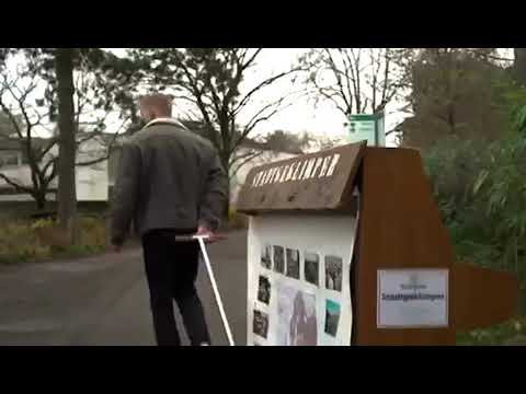 Pianist Plays Music for Lonely Animals During Pandemic, Their Reaction is Priceless!