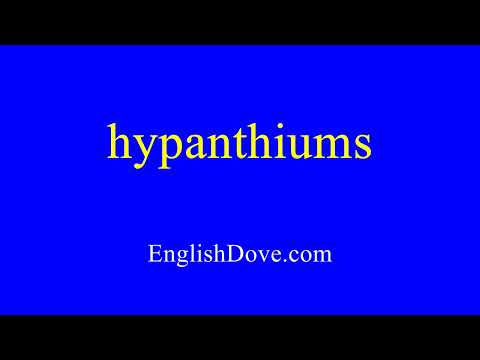 How to pronounce hypanthiums in American English