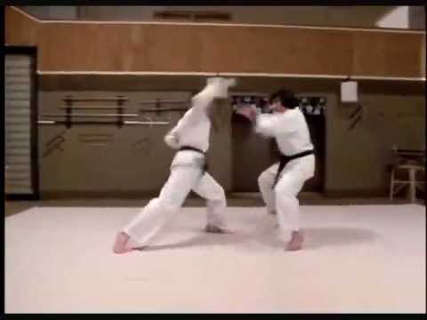 Revenge of The Ninja: Sho Kosugi vs Keith Vitale