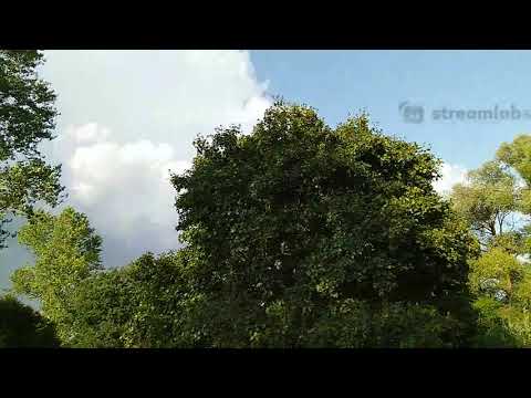 IRL bike stream in Tuscany (2022 - 07 - 26 part 1)