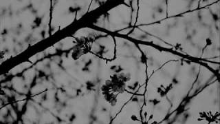 People Ain&#39;t No Good