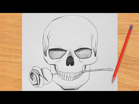 Easy Simple Skull And Rose Drawing