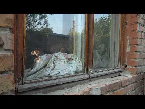 Запертых животных обнаружили в одной из квартир на Трофимова в Бийске