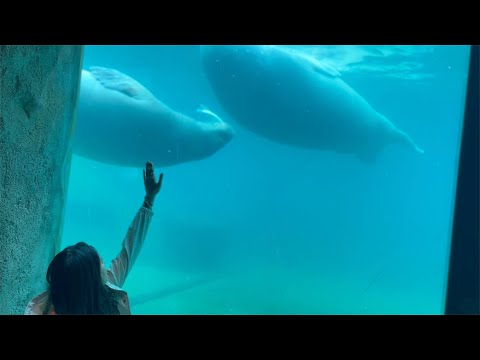 UITLEG MOEILIJKE PERIODE, VAKANTIE UITJES - VLOG #308