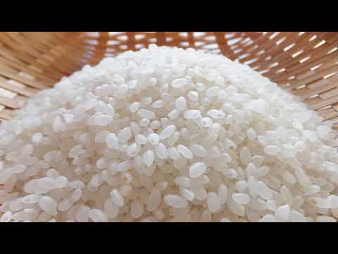 FROM HERE ! " A single rice grain reveals the origin of Chinese civilization "