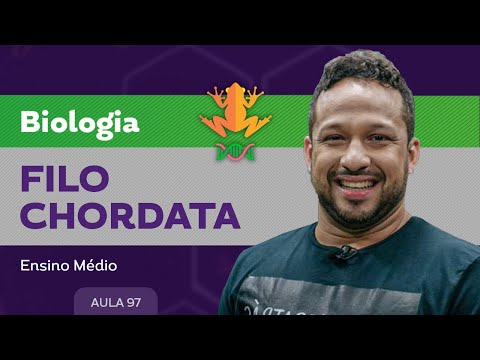 Filo chordata​ - Biologia - Ensino Médio