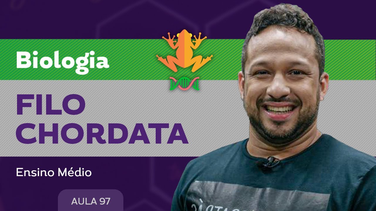 Filo chordata​ - Biologia - Ensino Médio