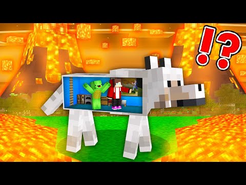 EPIC VOLCANO vs. Mikey & JJ Doomsday Bunker in DOG - Minecraft (Maizen)